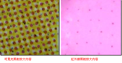 印刷有點讀碼的繪本是怎么制作的1.png